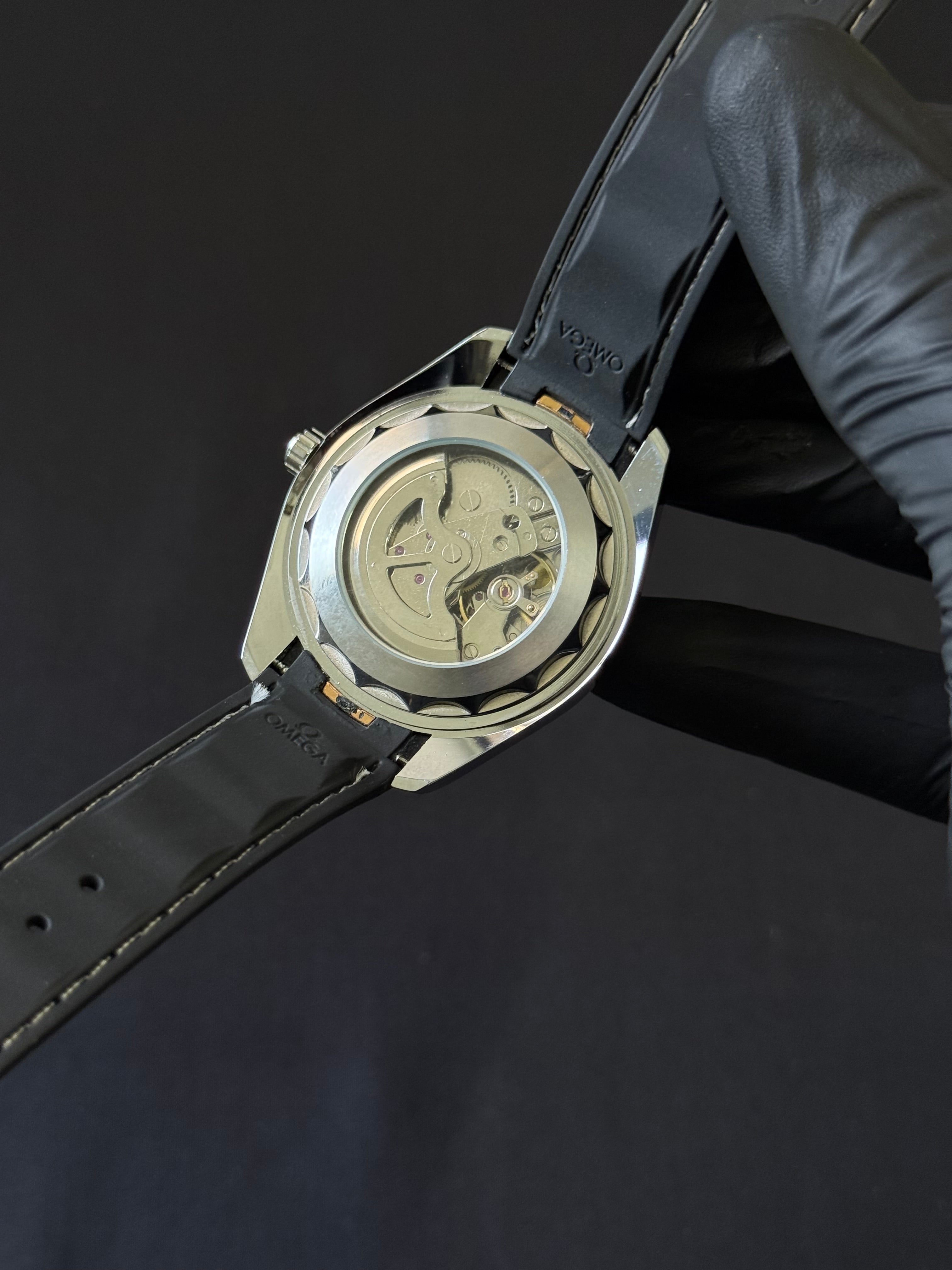 Sea master aqua terra automatic